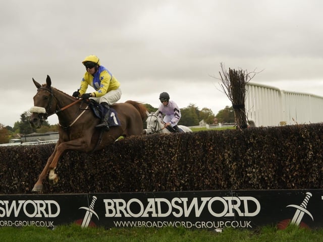 Fontwell Park jump racing action, October 2026