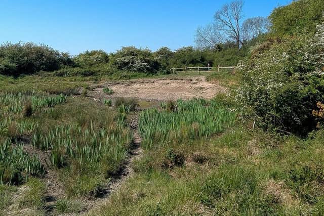 The dew pond at Lancing Ring