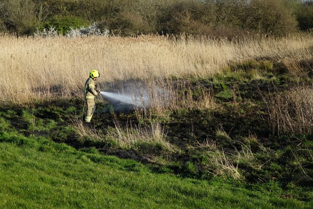 Fire in Shinewater Park, Eastbourne