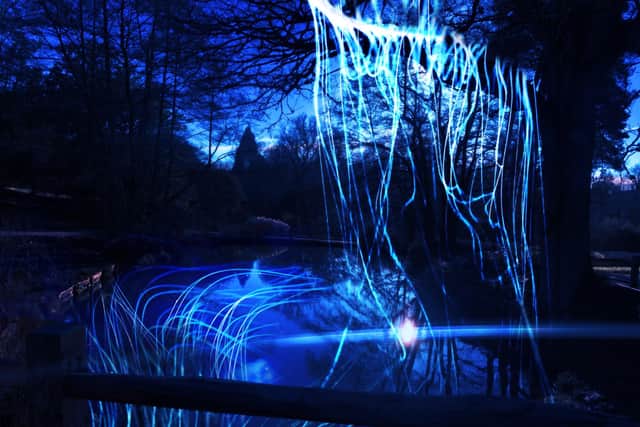 A simulation image of Black Pond at Wakehurst's Glow Wild 2022. Picture: RGB Kew