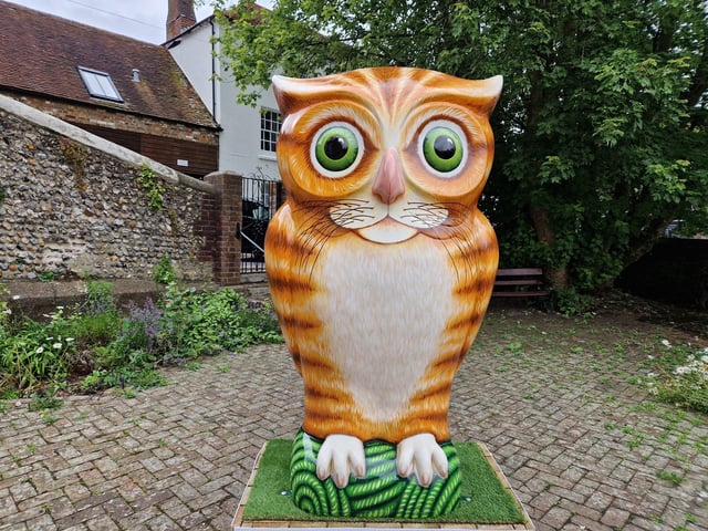 Colourful owls have flown into Arundel as part of the Wild in Art event The Big Hoot trail, raising money for Chestnut Tree House.