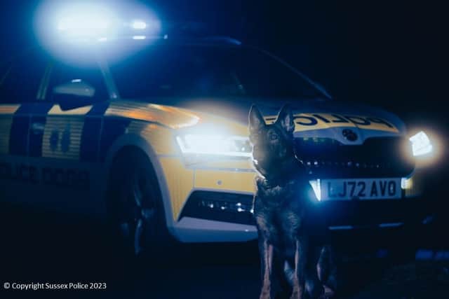 PD Hox tracked a suspect down after a shop burglary in Lewes. Photo: Sussex Police
