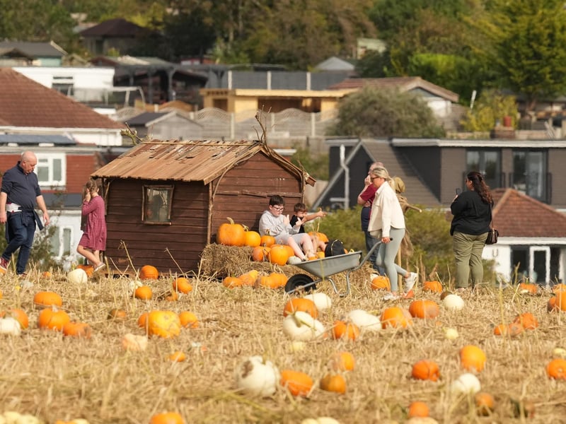 Based at Lychpole Farm just off the A27, family-run picking patch Sompting Pumpkins is open for business again this year. Picture: Eddie Mitchell