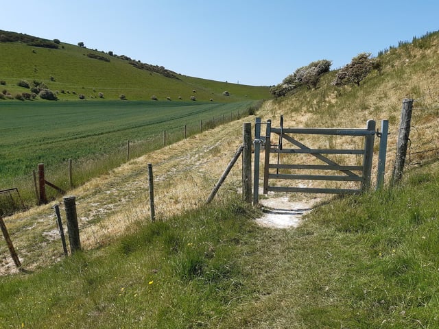 You pass through another gate and then it becomes a nice wide path running along a fence, so it is easy to follow.
