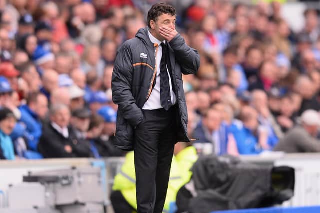 Dean Saunders back at Brighton - as Wolves boss in a Championship game in 2013 (Photo by Mike Hewitt/Getty Images)