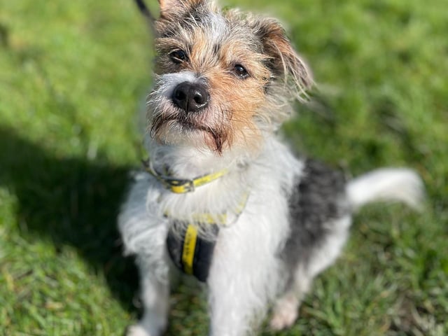 Charlie
