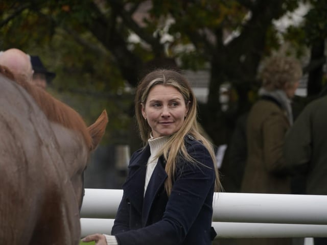 November jump racing at Fontwell Park