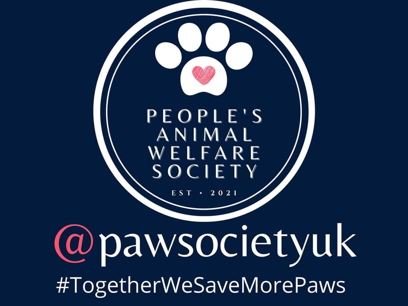 People's Animal Welfare Society is a foster-first animal rescue. It is dedicated to providing a loving environment for cats and dogs in need, offering them a second chance at finding their forever home.