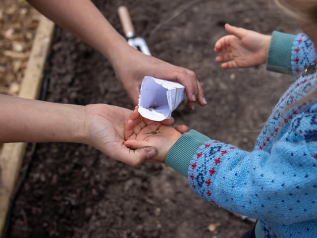 Schools have benefited from practical sessions involving planting and harvesting
