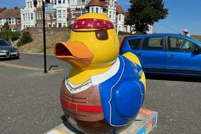 Pirate duck on the West Hill