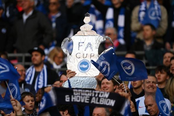 Seagulls at Wembley