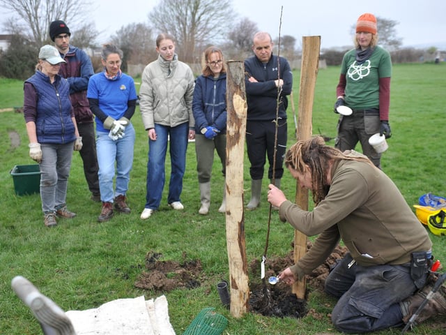 Planting trees in the new community orchard with Stephan Gehrels from Brighton Permaculture Trust
