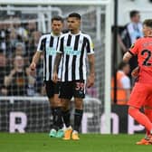 Brighton's German striker Deniz Undav (R) celebrates after scoring at St James' Park