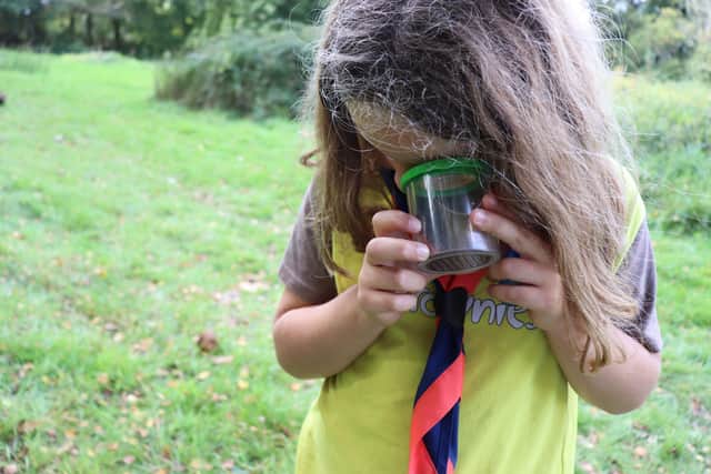 A Brownie looking at minibeasts. Picture: Girlguiding London and South East England