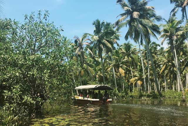 The back waters of Kerala