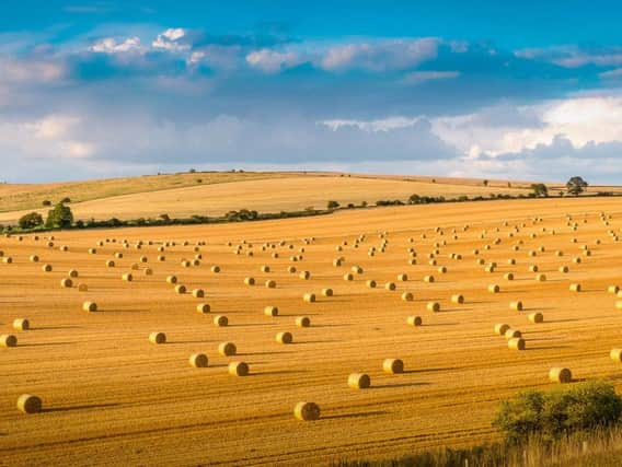Straw bales in the evening light, an evocative view of the beautiful Sussex countryside taken by Andy Walker of Cuckfield. The image won him the Peoples Choice prize in the South Downs National Park Authoritys photographic competition in 2015.