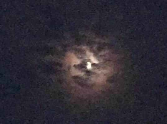 Can you see the face in the moon?
