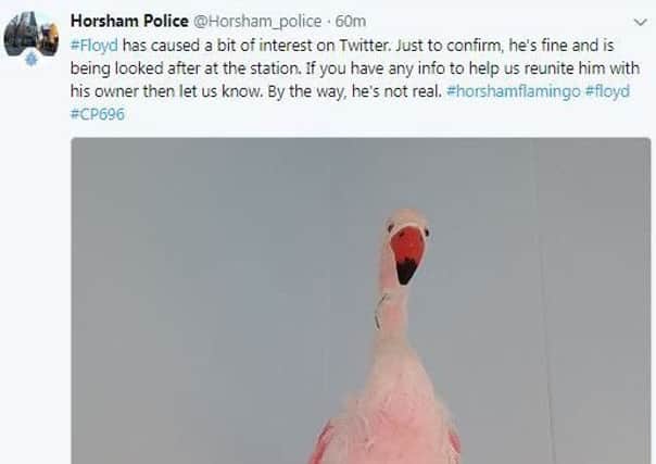 Police tweet about Floyd the flamingo SUS-171123-110127001