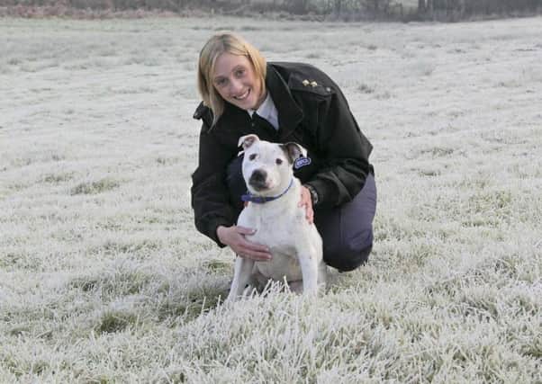 The RSPCA is appealing for help this winter SUS-171125-110916001