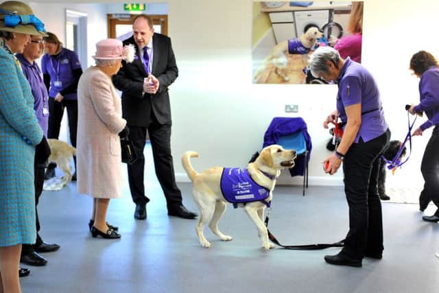 The Queen visited Canine Partners, Mill Lane, Heyshott, Midhurst. Pic Steve Robards SR1728810 SUS-171130-130659001