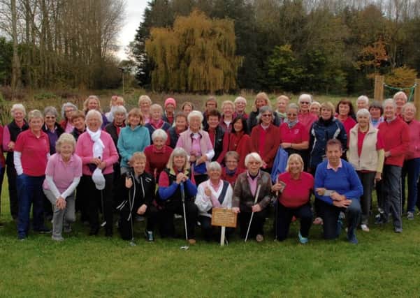 Dot's Dollies and the Hillbillies line up for their challenge at Chichester Golf Club