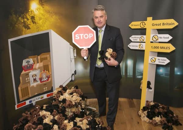 East Worthing and Shoreham MP Tim Loughton joins Dogs Trust in its the fight to highlight the horrendous conditions in which puppies are smuggled