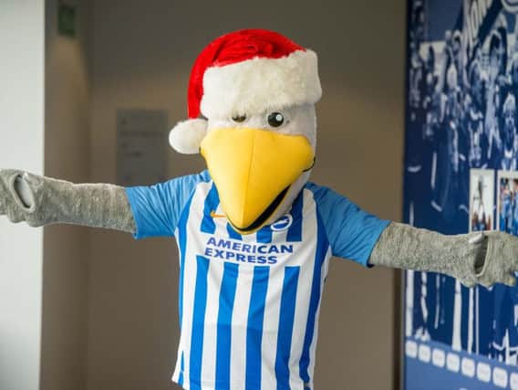 Albion's mascot Gully is getting into the Christmas spirit (Photograph: Darren Cool)