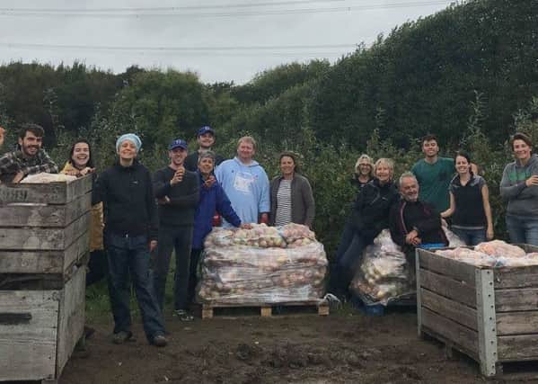 Sussex Gleaning Volunteers