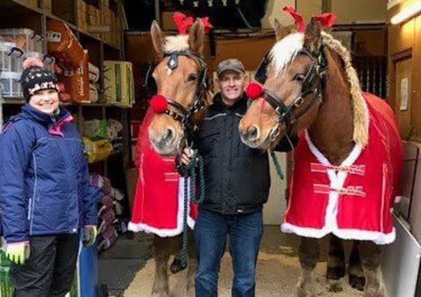 Comtois heavy horses Boris and Mirka donned red noses and antlers and greeted customers at Stockley Outdoor and Equestrian