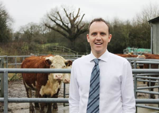 Matt Dobbs has been appointed on the board of the AWF. Picture supplied by British Veterinary Association