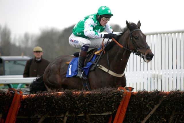 Camping Ground leaves rivals standing in the 2017 totepool National Spirit Hurdle / Picture by Clive Bennett