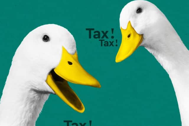 Ducks remind taxpayers