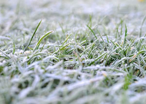 Frost. Pic Steve Robards SR1732092 SUS-171213-121847001