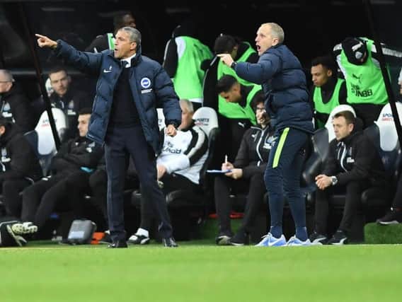 Chris Hughton shouts instructions at St James' Park. Picture by Phil Westlake (PW Sporting Photography)
