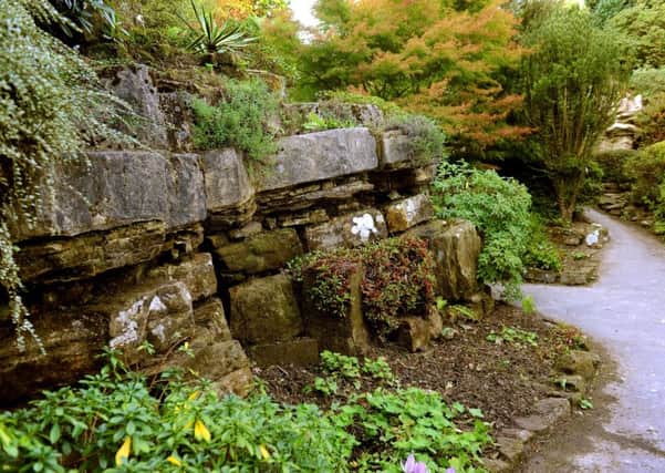 The Rock Garden at Leonardslee pictured in October. Pic Steve Robards