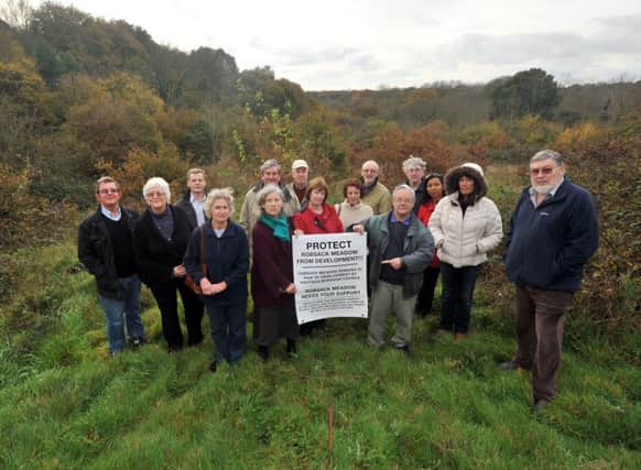 Campaigners for the protection of Robsack Wood Meadow, St Leonards.