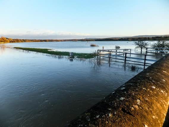 Recent flooding at the River Arun at Pulborough
Picture by Brian Burns