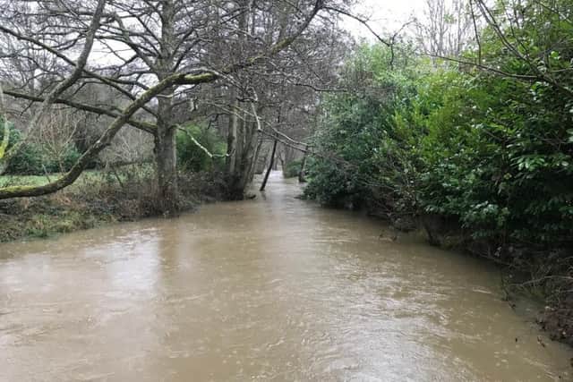 Recent heavy rains swelled the River Arun at Chesworth Farm near Horsham
Picture by Peter Merchant