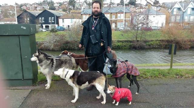 Shamus with his dogs