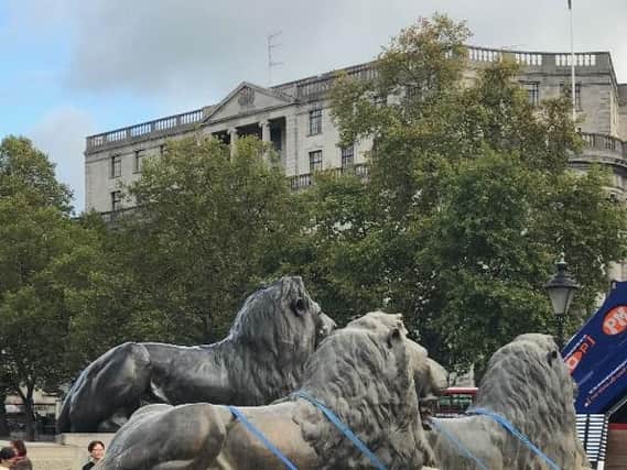 The lions in transportation while passing Trafalgar Square