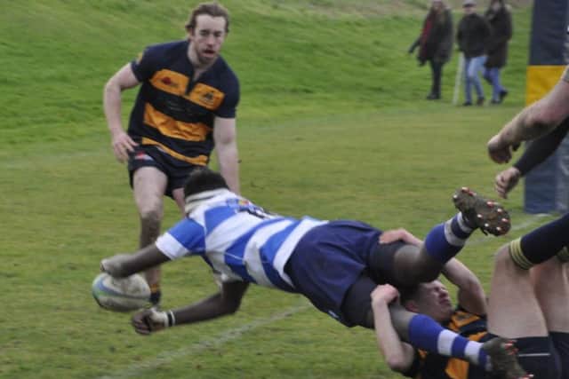 Calvin Crosby-Clarke dives over to score Hastings & Bexhill's final against Old Williamsonians. Picture courtesy Nigel Baker