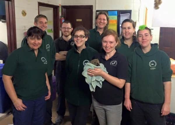 Part of the team at Brent Lodge Wildlife Hospital