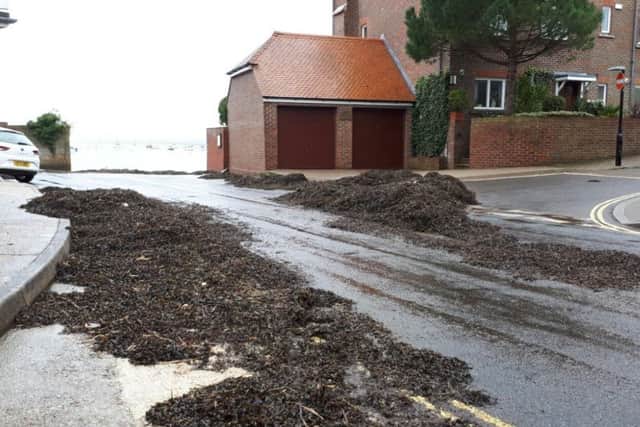 Storm Eleanor left a huge amount of seaweed on King Street at the beginning of the year