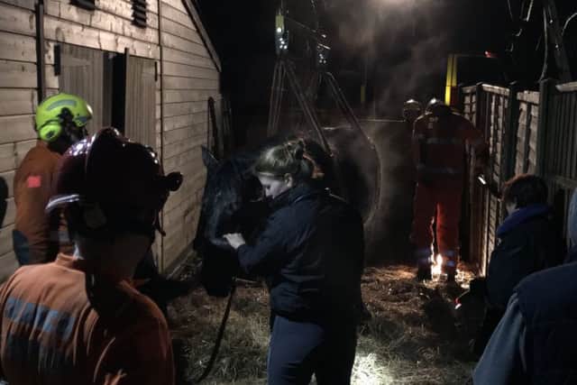 Firefighters rescue trapped horse. Photo by West Sussex Fire and Rescue Service TRU.
