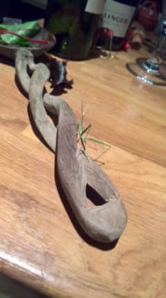 Jane Fisher found this stick insect in her salad SUS-180124-130408001