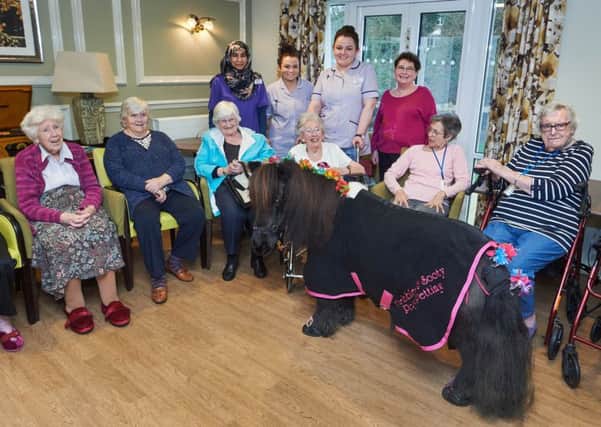 Residents and staff meet Sooty the pony at Care UK's Skylark House care home. Picture by Simon Jacobs SUS-181202-132659001