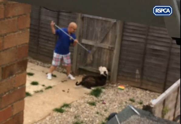 Laurence Skelson has been banned from keeping dogs after being caught on camera threatening a dog with a large wooden plank and a mop. Photo courtesy of the RSPCA. SUS-180602-151217001