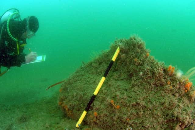 The Norman's Bay wreck is one of 13 virtual tours provided by Historic England. Picture: Nautical Archaeology Society