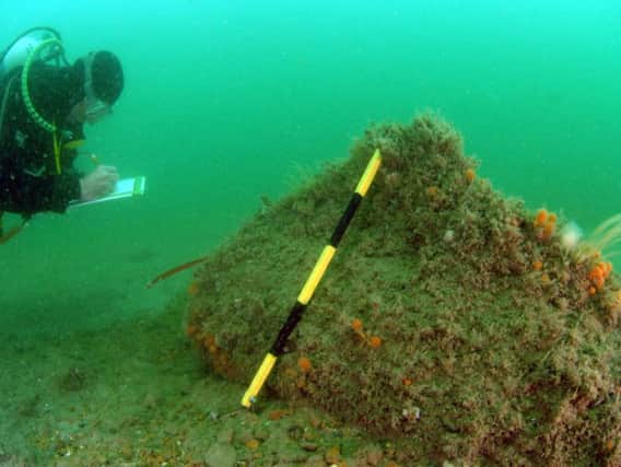 The Norman's Bay wreck is one of 13 virtual tours provided by Historic England. Picture: Nautical Archaeology Society
