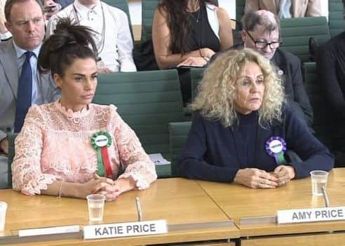 Nick at the Katie Price Select Committee session